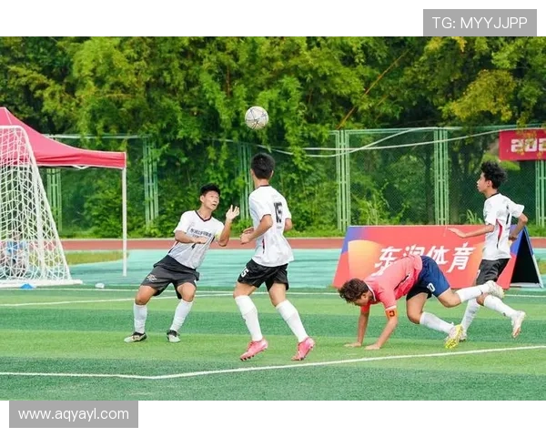 成都足球队转型之路揭秘：从地方强队到全国锦标赛新星的奋斗历程