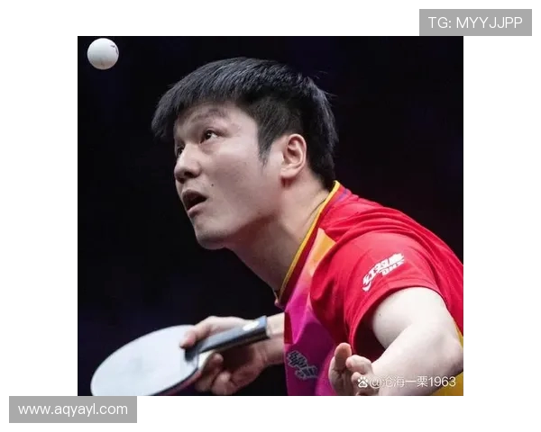 武汉乒乓球队在世锦赛中的速度表现分析与启示