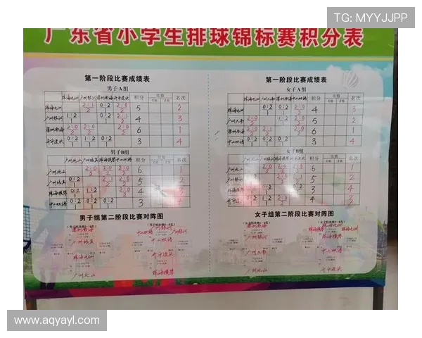 武汉排球队反击战术解析及其在排球比赛中的应用与优势分析