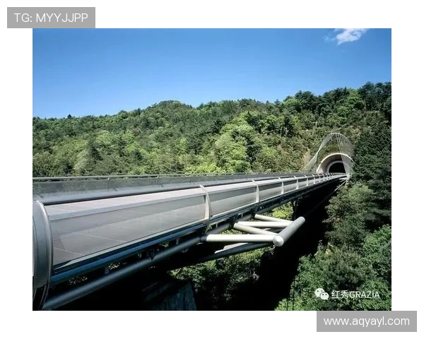 武汉足球队加速转型探讨：从传统到现代的全新发展之路