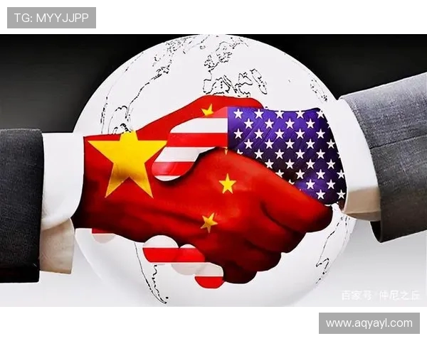 赖斯的外交智慧与全球影响力探析:重塑国际关系的新篇章